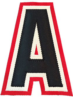 Assistant Captain Patch